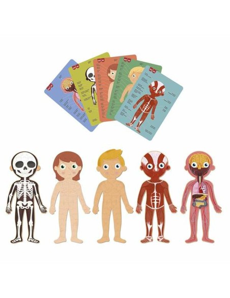 Puzzle Apli 19438 35 x 75 x 24 cm Human body 240 Pieces
