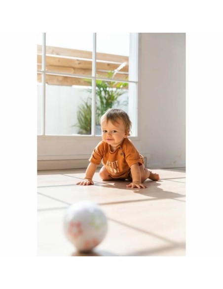 Educational Game Nathan Exploration ball