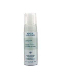 Cleansing Foam Aveda