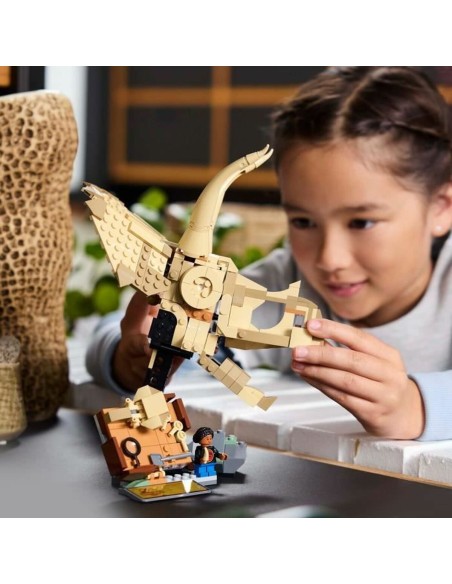Construction set Lego 76969