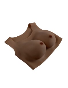 Breast prostheses Gender X 2