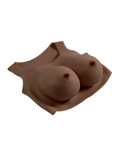 Breast prostheses Gender X 2