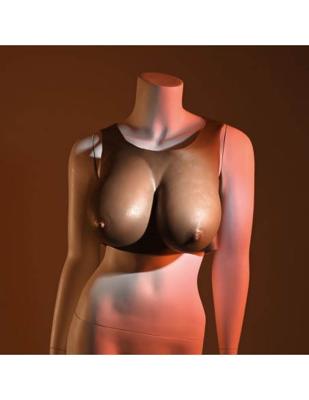 Breast prostheses Gender X
