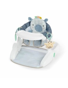 Activity centre Ingenuity Casi the Zebra