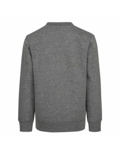Children’s Sweatshirt without Hood Nike Grey 2