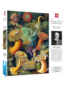 Puzzle Cenega Publishing Ernst Haeckel Criaturas marinas 1000 Pieces 2
