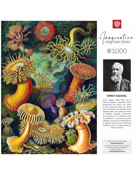 Puzzle Cenega Publishing Ernst Haeckel Criaturas marinas 1000 Pieces