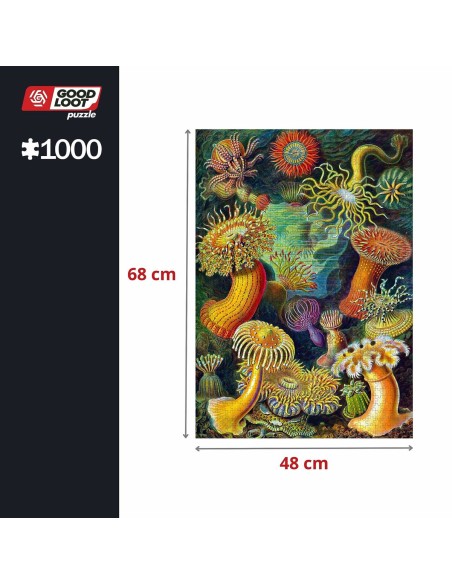 Puzzle Cenega Publishing Ernst Haeckel Criaturas marinas 1000 Pieces