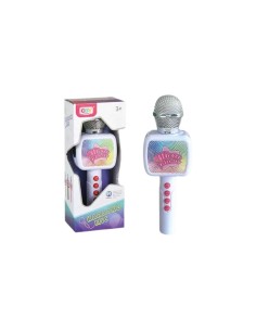 Karaoke Microphone 2