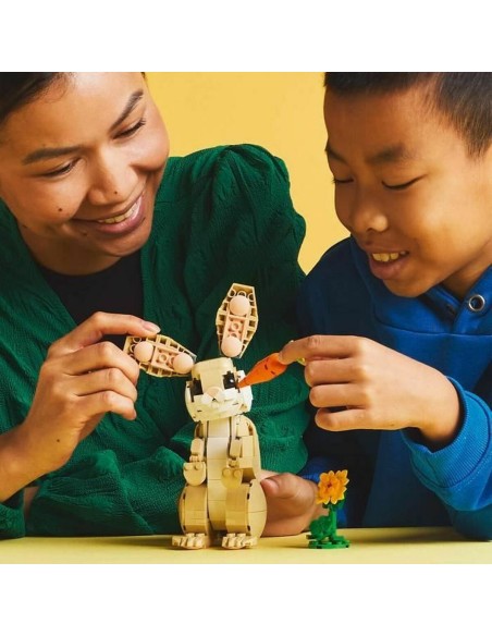 Construction set Lego