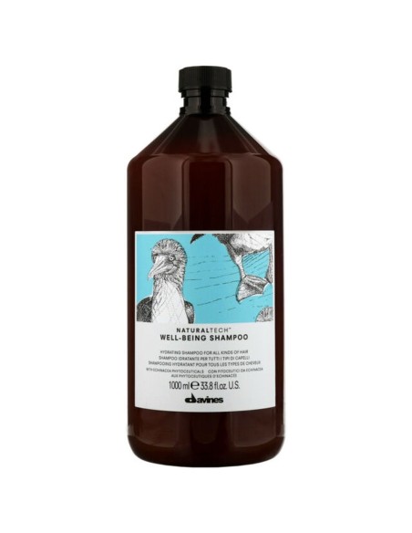 Moisturizing Shampoo Davines Well-Being 1 L