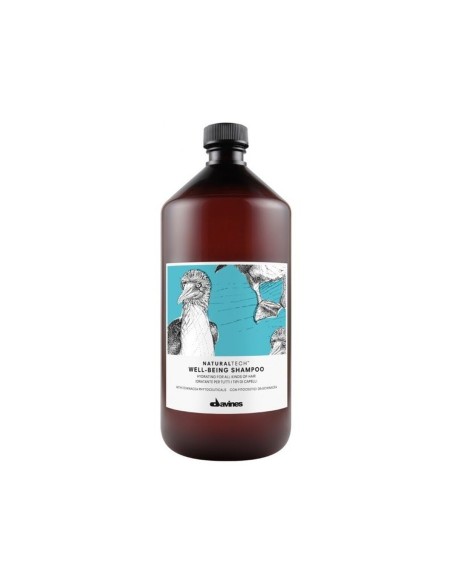 Moisturizing Shampoo Davines Well-Being 1 L