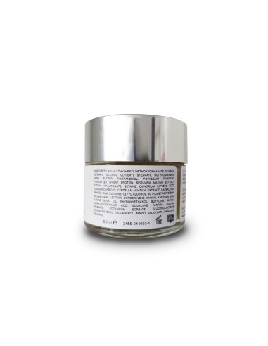Protective Cream Emap'S Beauty & Cosmetics 50 ml
