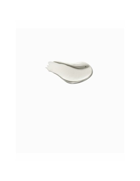 Facial Corrector Payot Pâte Grise