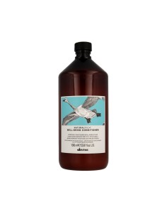 Detangling Conditioner Davines Well-Being Moisturizing
