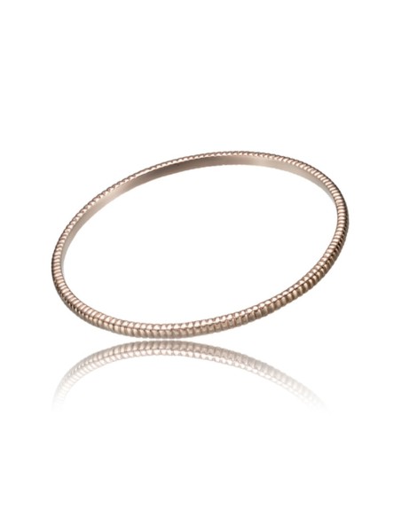Ladies'Bracelet Time Force TS5124BR