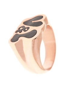 Ladies' Ring Victorio & Lucchino VJ0270AN-13 (14 mm) (Size 14)