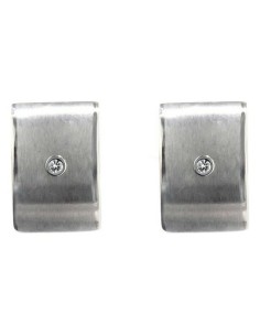 Ladies'Earrings Darsy DS-P001 (1,5 cm)