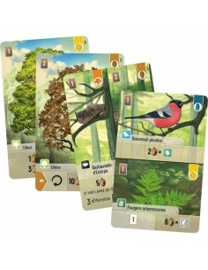 Board game Asmodee 2