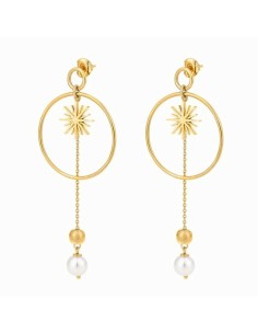 Ladies'Earrings Folli Follie 3E19S130YW (7,3 cm)