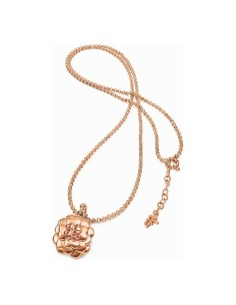 Ladies' Necklace Folli Follie 3N16T026RR 45 cm