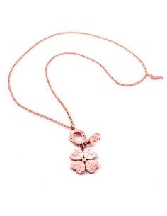 Ladies' Necklace Folli Follie 3N14T087RS 45 cm
