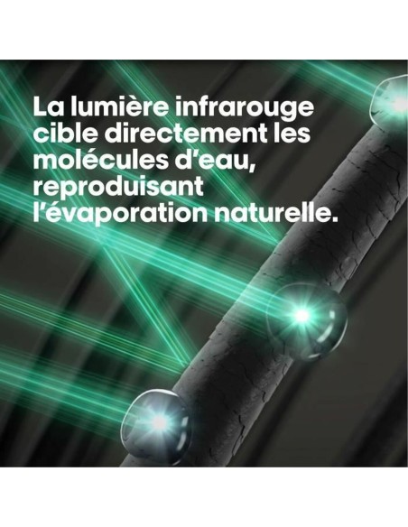 Hairdryer L'Oreal Professionnel Paris AIRLIGHT PRO