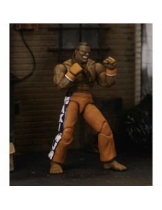Jointed Figure Street Fighter 2