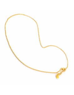 Ladies' Necklace Folli Follie 1N9S077Y 21 cm