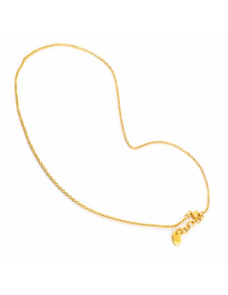 Ladies' Necklace Folli Follie 1N9S077Y 21 cm