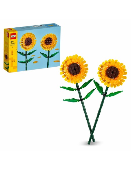Playset Lego 40524 Multicolour