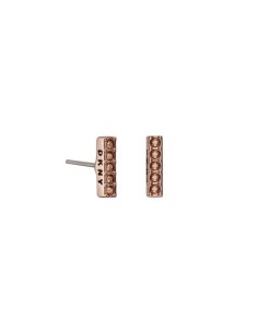 Ladies' Earrings DKNY 5520082 1 cm