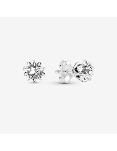 Ladies' Earrings Pandora 290023C01 2