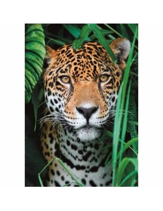 Puzzle Clementoni 500 Pieces 2