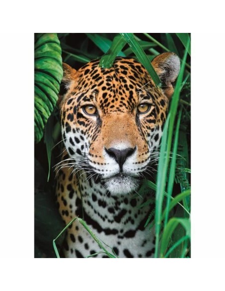 Puzzle Clementoni 500 Pieces