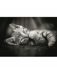 Puzzle Clementoni Kitty 1000 Pieces 2
