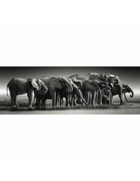 Puzzle Clementoni