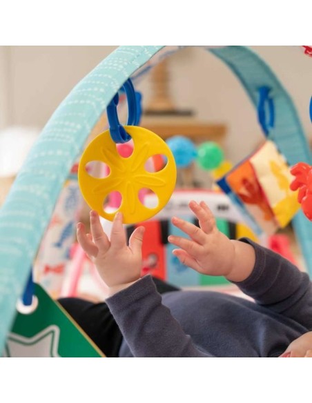 Play mat Baby Einstein