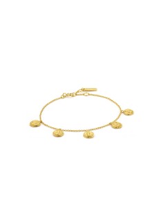 Ladies' Bracelet Ania Haie B009-01G 19 cm