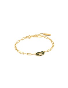 Ladies' Bracelet Ania Haie B031-01G-G 19 cm