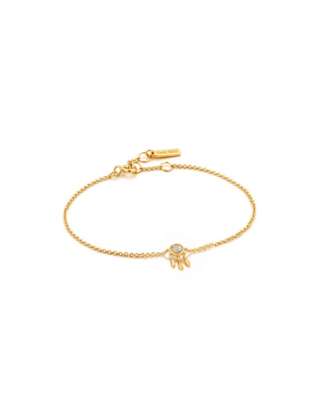 Ladies' Bracelet Ania Haie B026-02G 19 cm