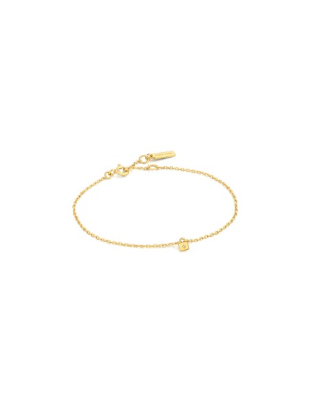 Ladies' Bracelet Ania Haie B032-02G 19 cm