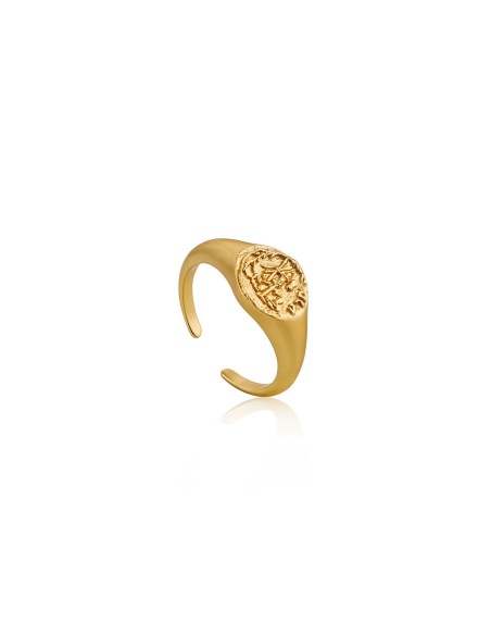 Ladies' Ring Ania Haie R009-03G (13)