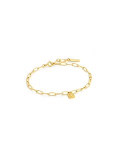 Ladies' Bracelet Ania Haie B032-01G 19 cm
