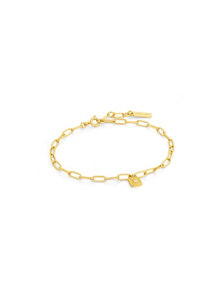 Ladies' Bracelet Ania Haie B032-01G 19 cm