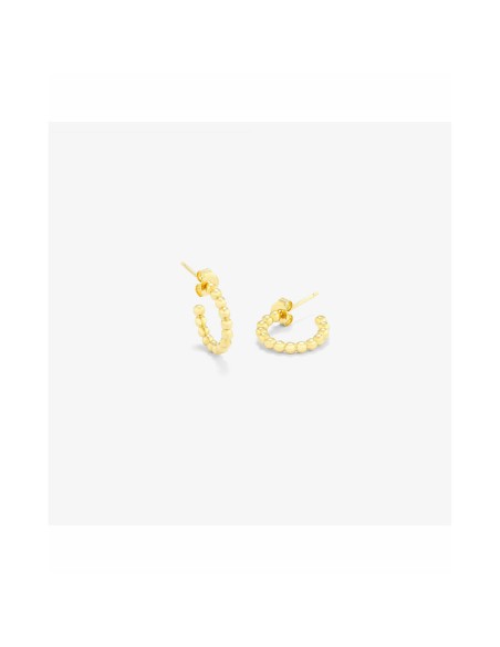 Ladies' Earrings Radiant RY000017 Stainless steel 2 cm