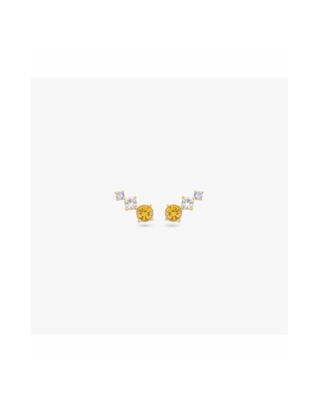 Ladies' Earrings Radiant RY000008 Stainless steel 1,5 cm