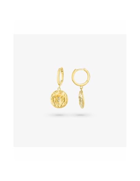 Ladies' Earrings Radiant RY000047 Stainless steel 1,5 cm