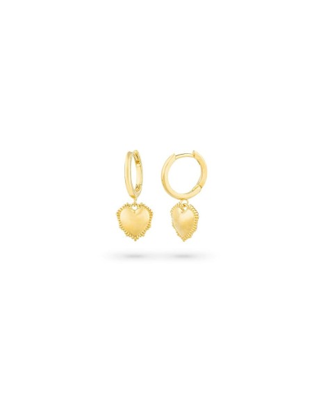 Ladies' Earrings Radiant RY000056 Stainless steel 2,5 cm