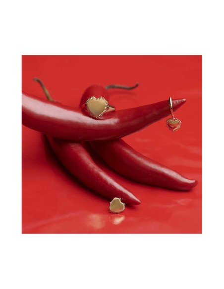 Ladies' Earrings Radiant RY000056 Stainless steel 2,5 cm